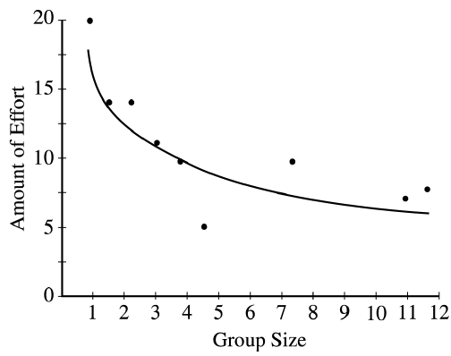 Evaluation Input Image