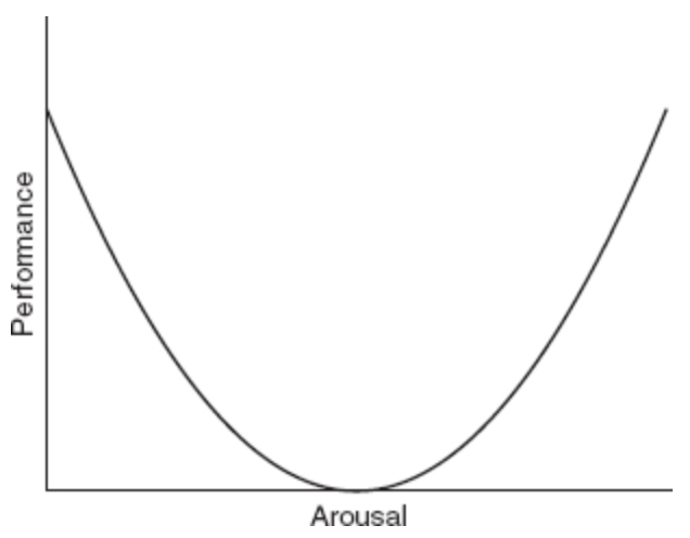 Evaluation Input Image