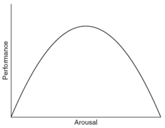 Evaluation Input Image